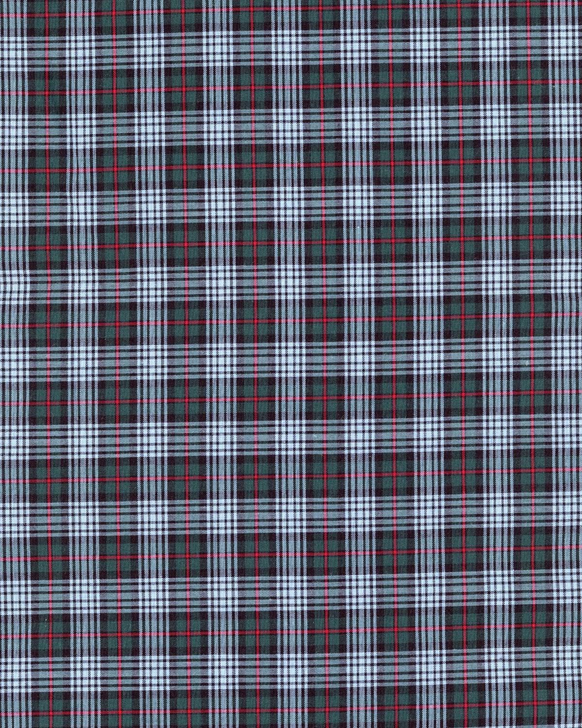 Olive and Sky Plaid