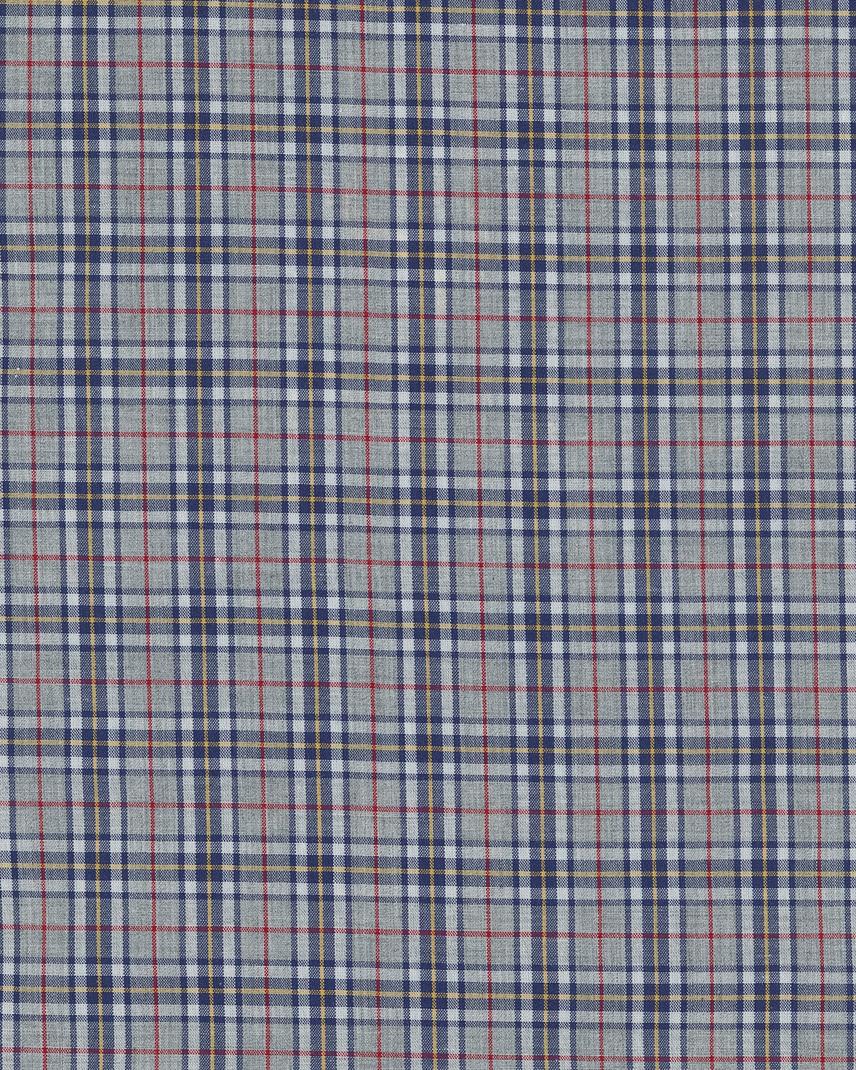 Bruco Plaid