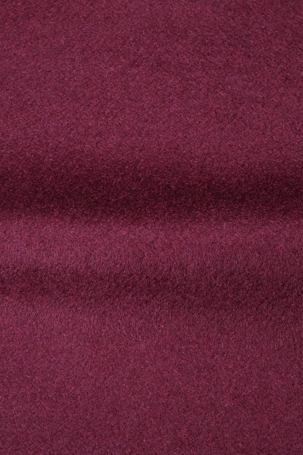 Zip-Up Parka with Hood