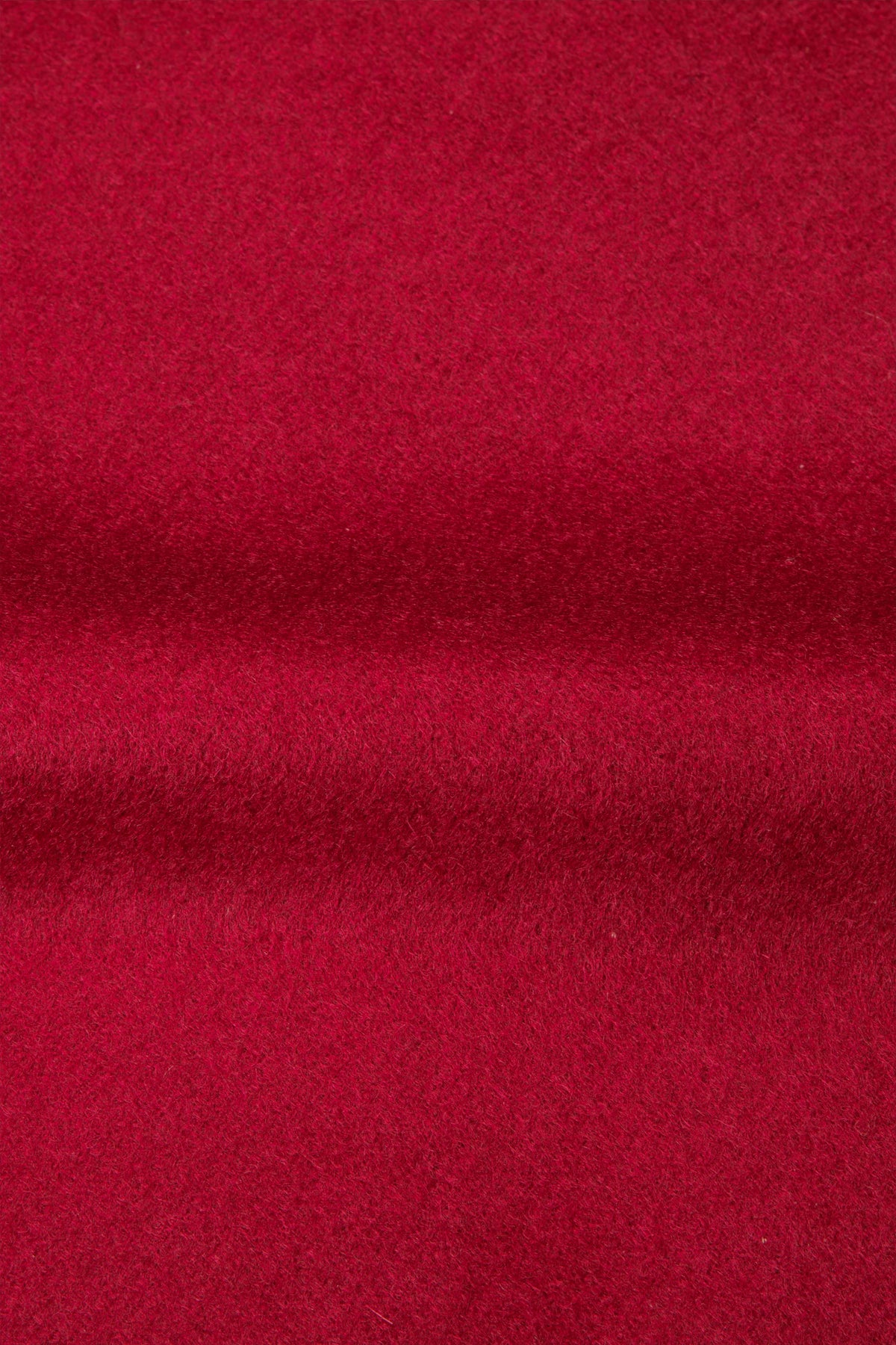 Zip-Up Parka with Hood