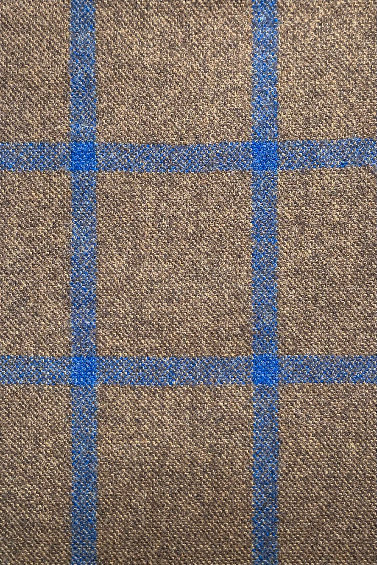 English Bold Windowpane